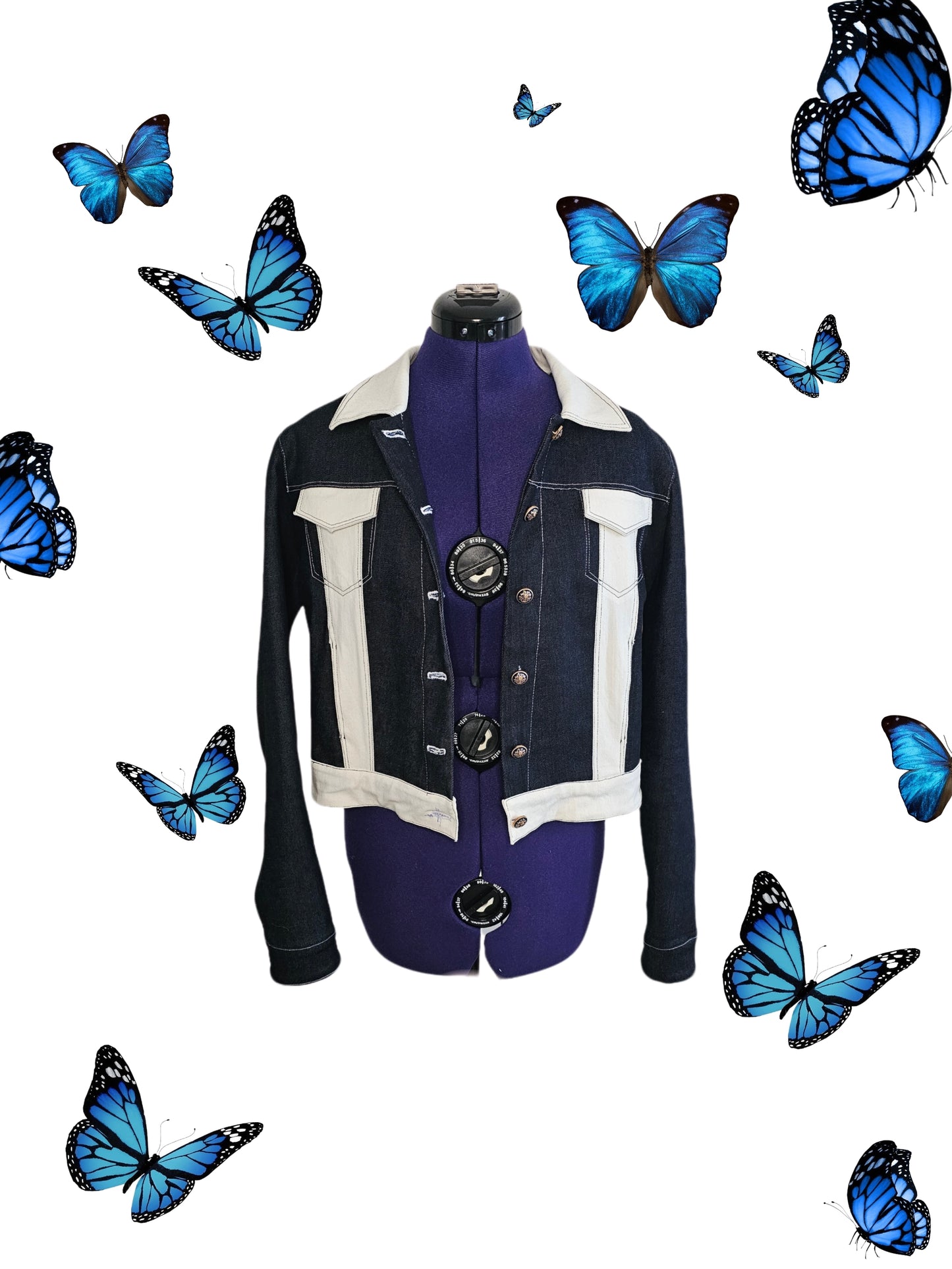 Veste Astara