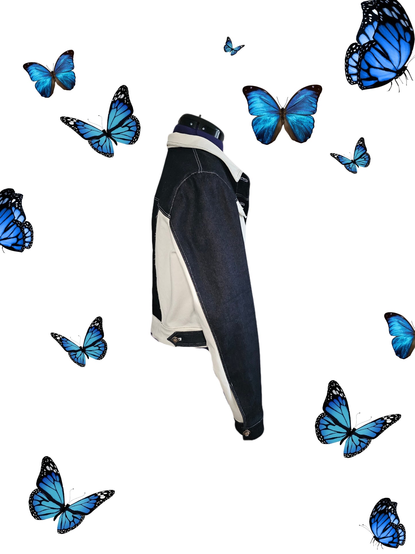 Veste Astara