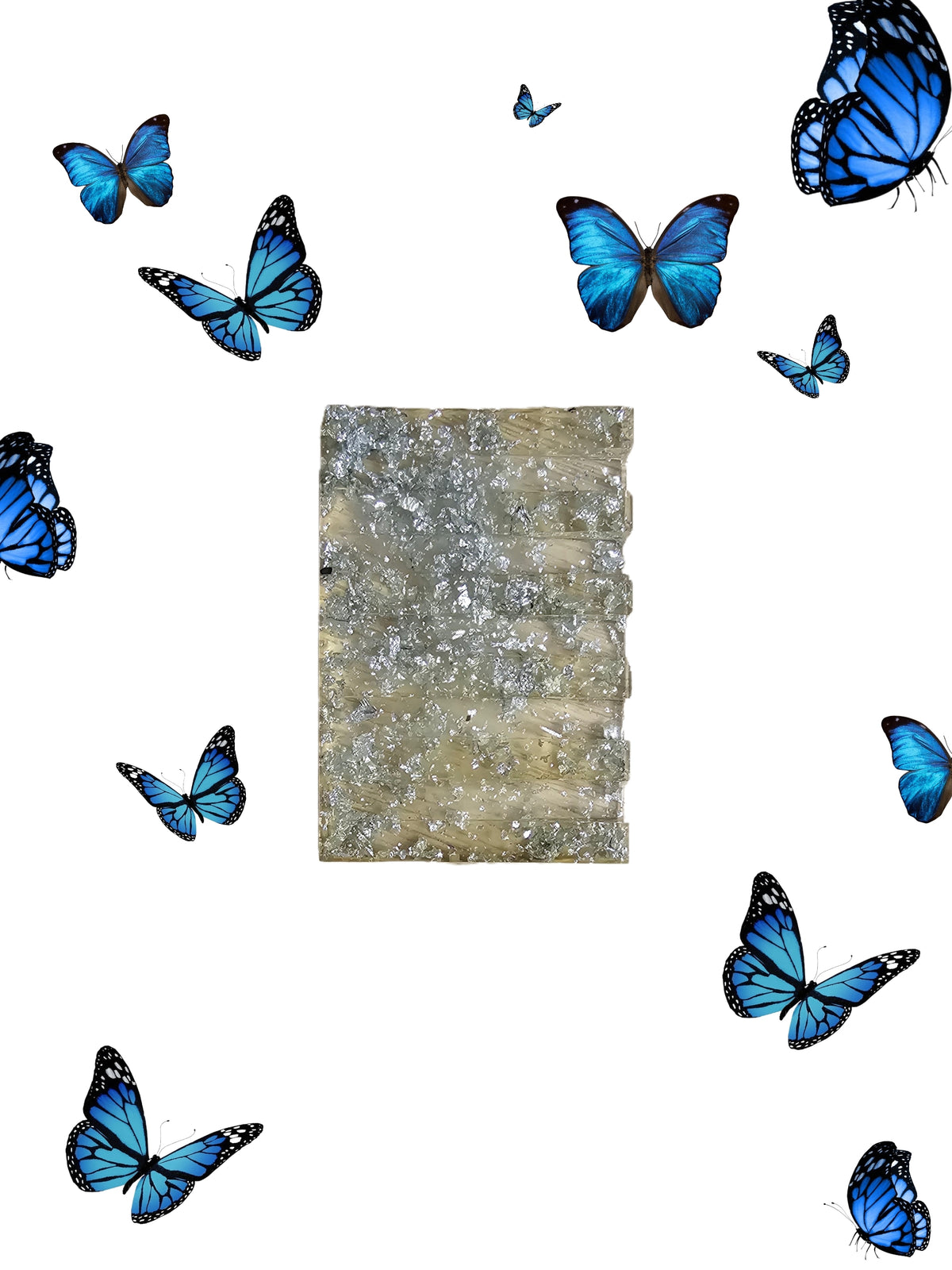 Porte savon