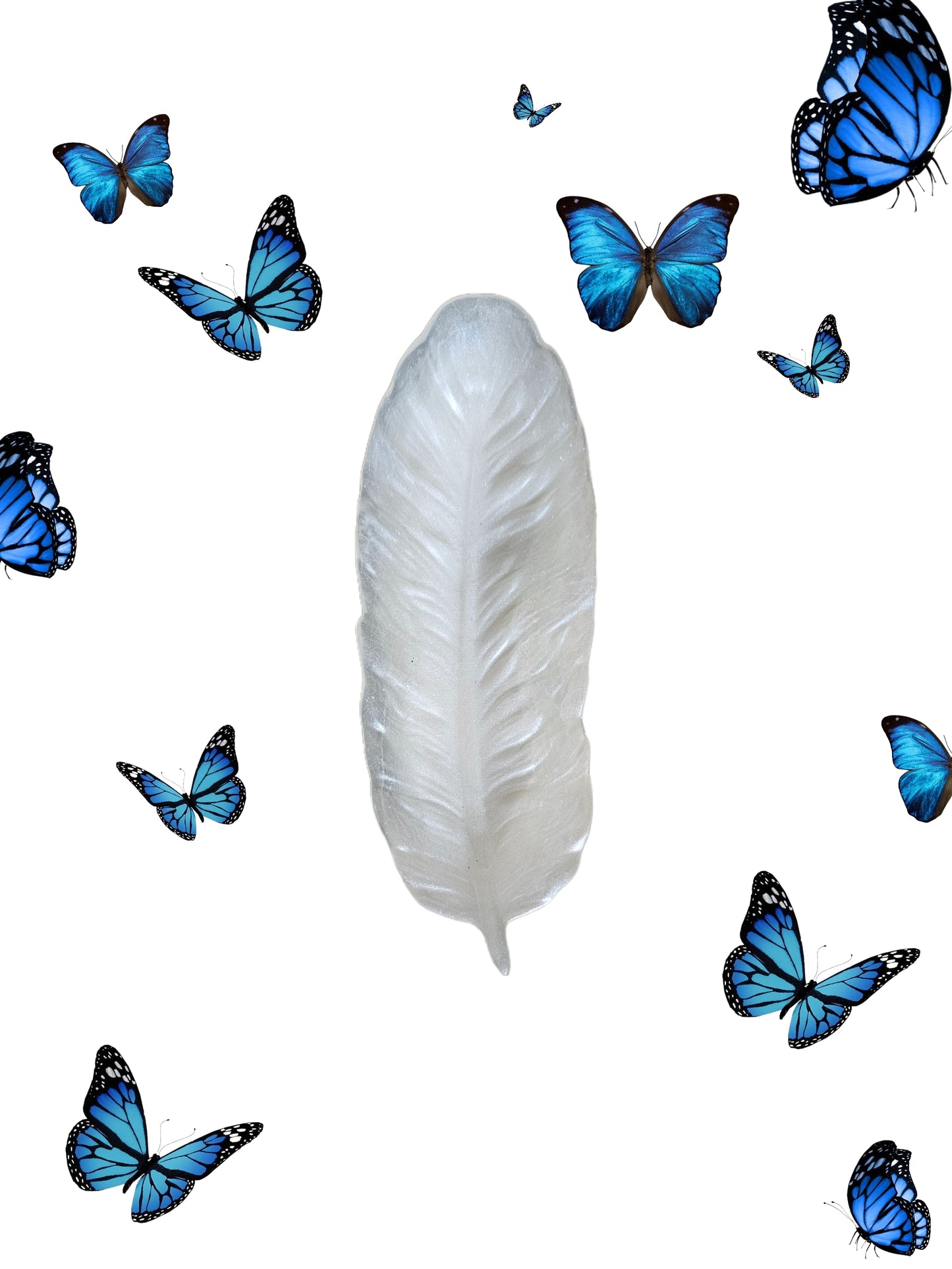 Vide poche plume