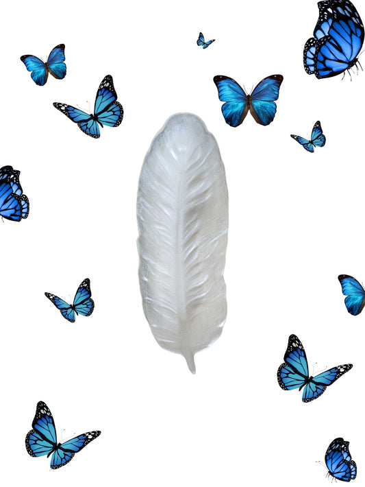 Vide poche plume