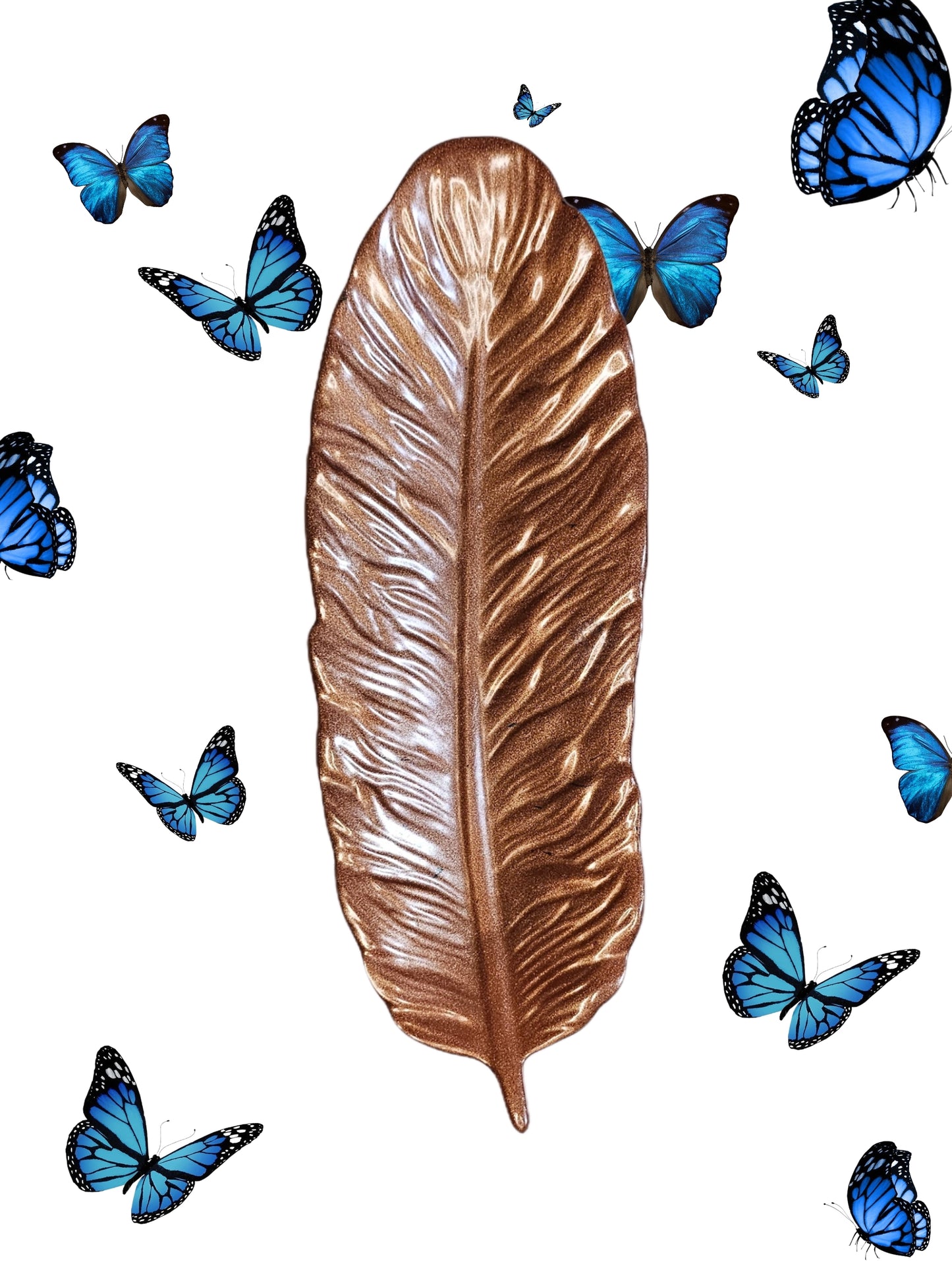 Vide poche plume