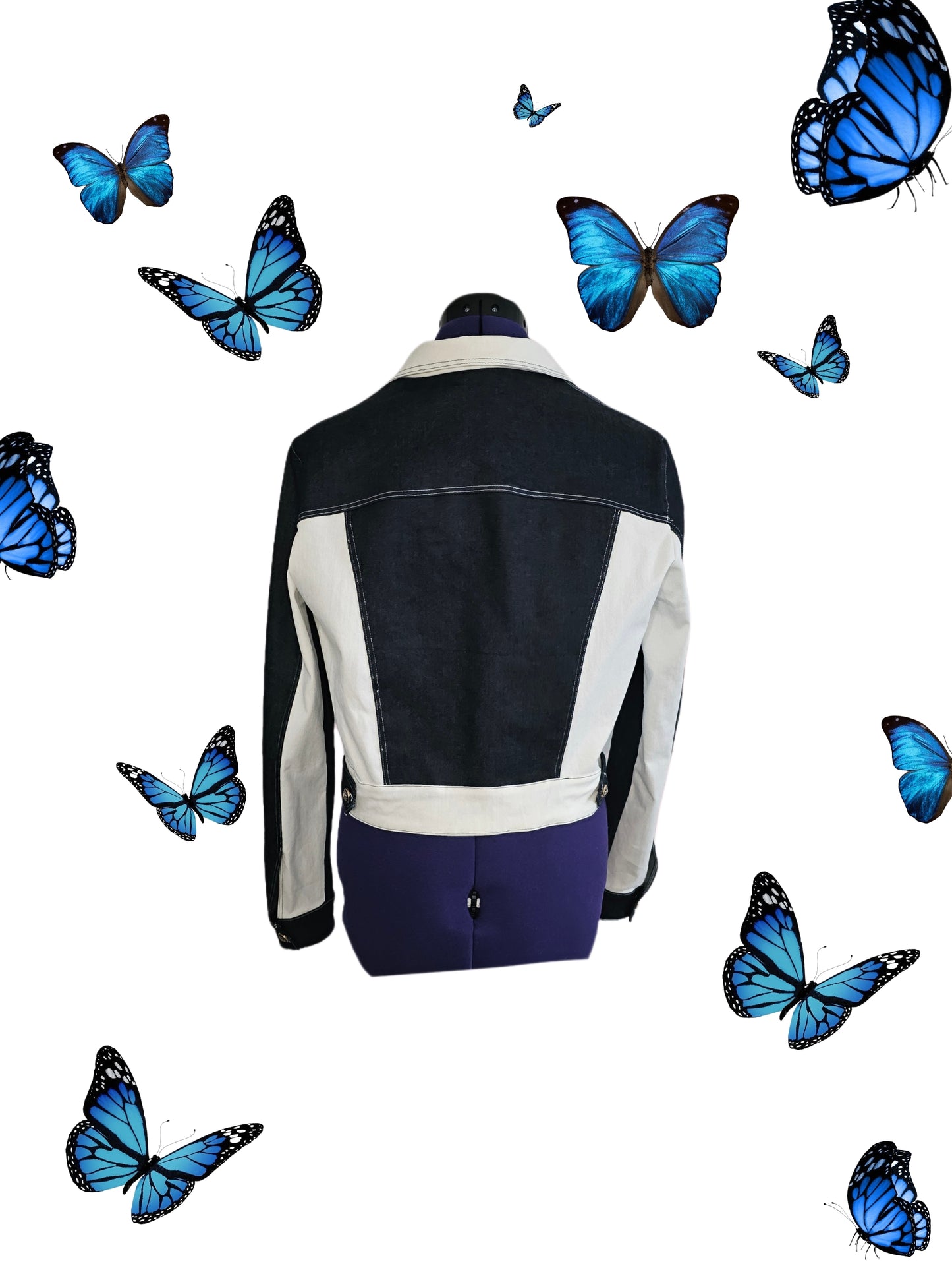 Veste Astara