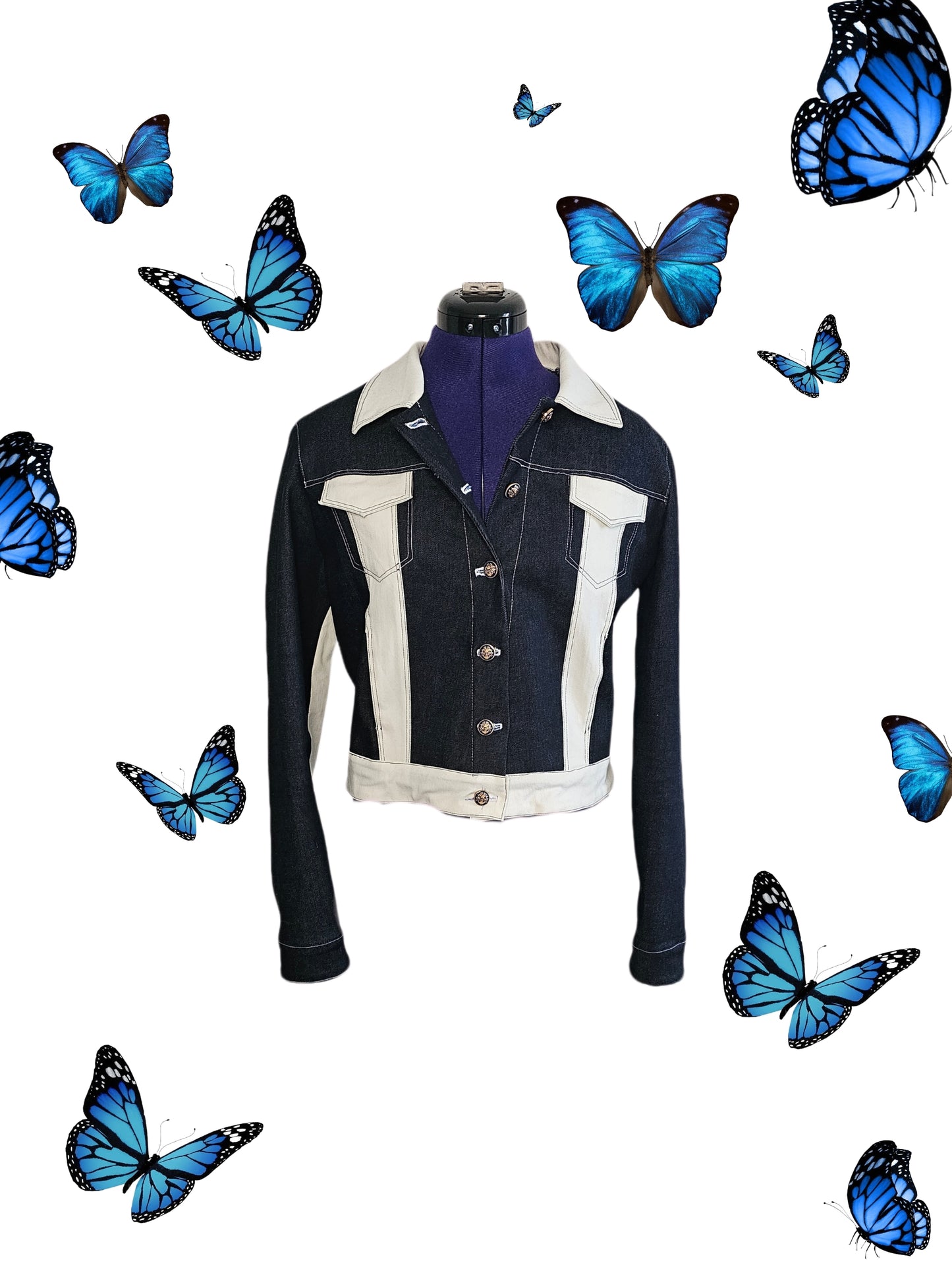 Veste Astara